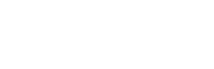 Oracle Partner